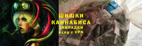 прущие грибы Лабытнанги