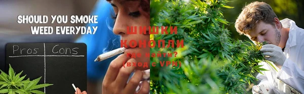 прущие грибы Лабытнанги