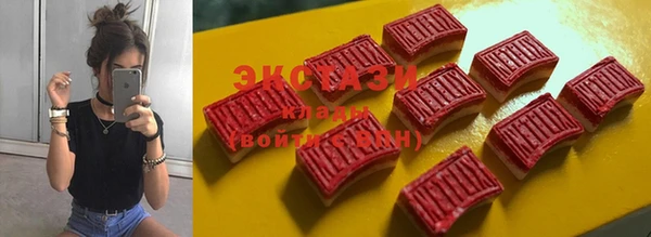 прущие грибы Лабытнанги