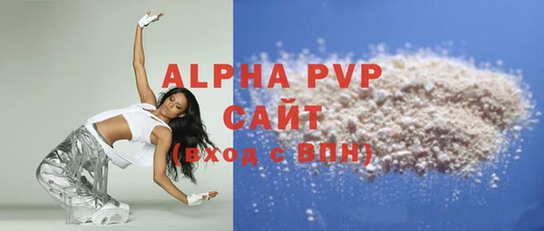 прущие грибы Лабытнанги