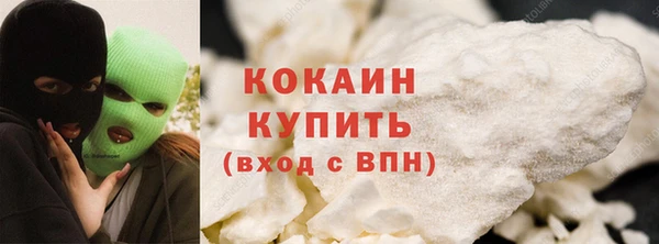 индика Новый Уренгой