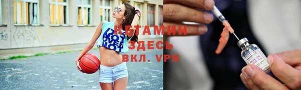 прущие грибы Лабытнанги