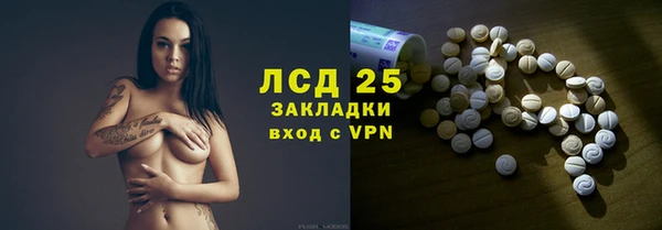 шишки Кукмор