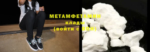 прущие грибы Лабытнанги