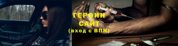 прущие грибы Лабытнанги