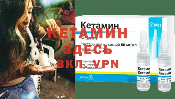 прущие грибы Долгопрудный