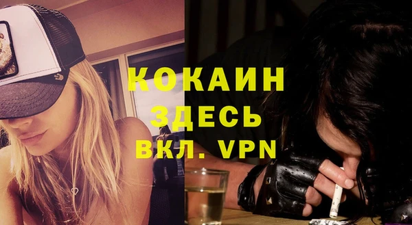 сатива Лагань