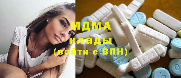 прущие грибы Лабытнанги