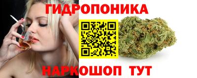 метадон Гусев