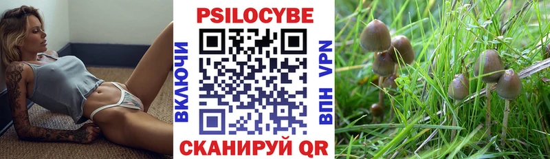 Псилоцибиновые грибы Psilocybine cubensis  Тихорецк 